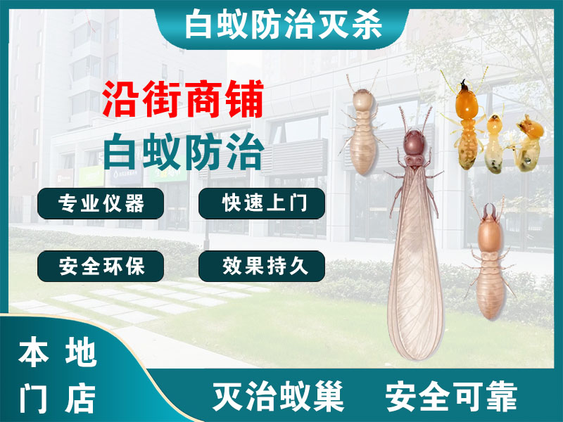 泰兴市沿街商铺白蚁防治