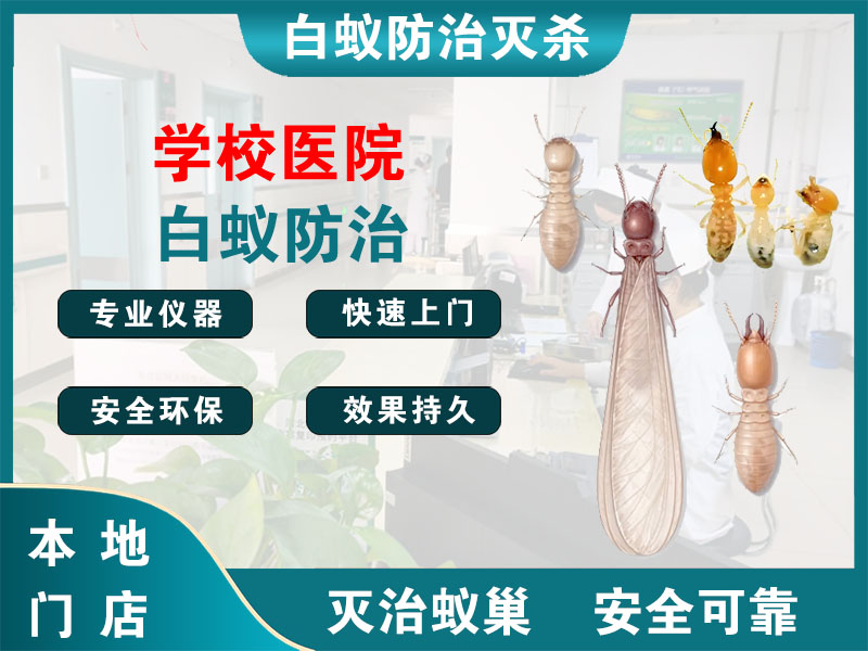 泰兴市学校医院白蚁防治