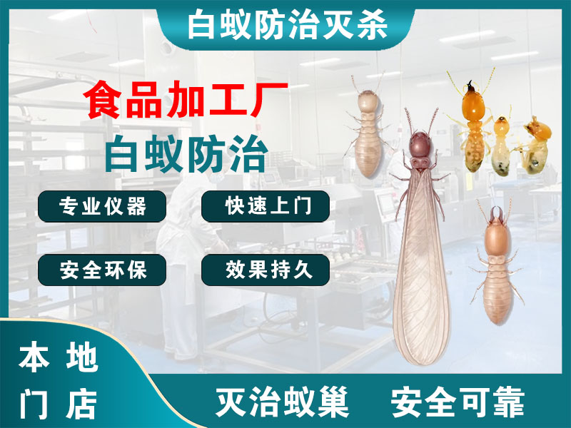泰兴市食品加工厂白蚁防治
