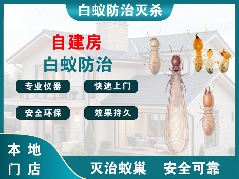 泰兴市自建房白蚁防治