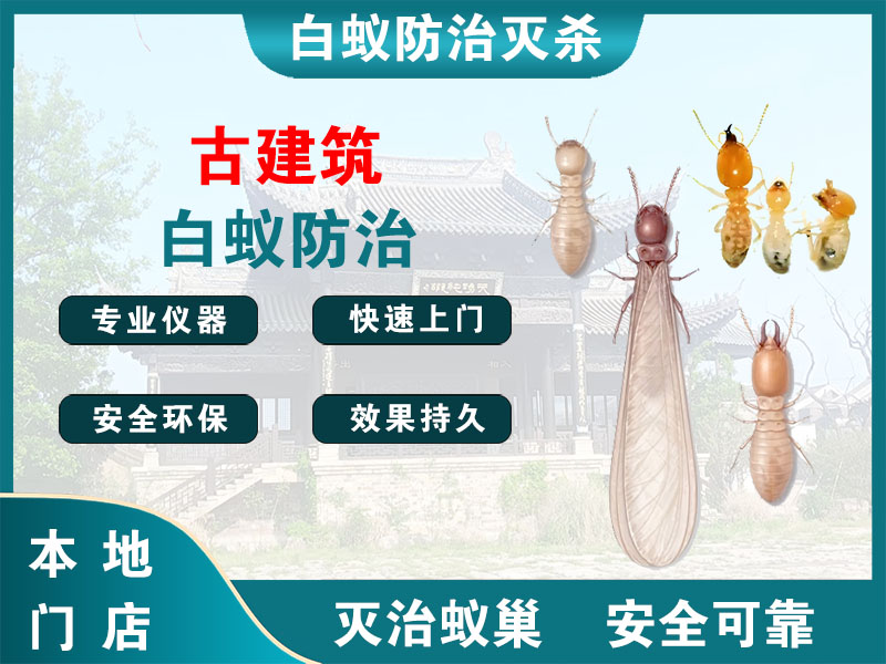 泰兴市古建筑白蚁防治