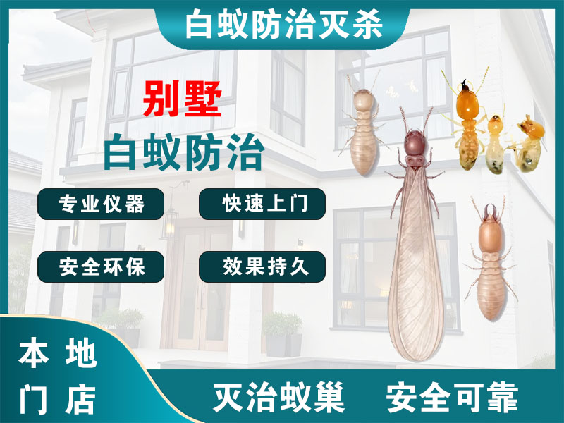 泰兴市别墅白蚁防治