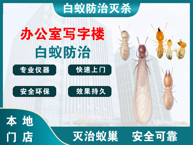 泰兴市办公室写字楼白蚁防治